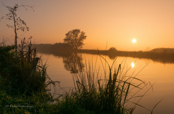 Картинка природа восходы закаты деревья озеро закат