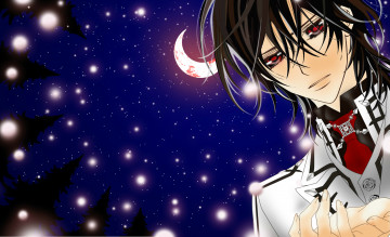 Картинка аниме vampire+knight рыцарь-вампир matsuri hino vampire knight kuran kaname art красные глаза звезды месяц ночь