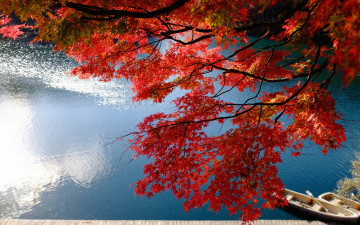 Картинка природа деревья ветки японский клён пристань осень лодки озеро Япония фукусима бандай бишамон japan fukushima bandai lake bishamon