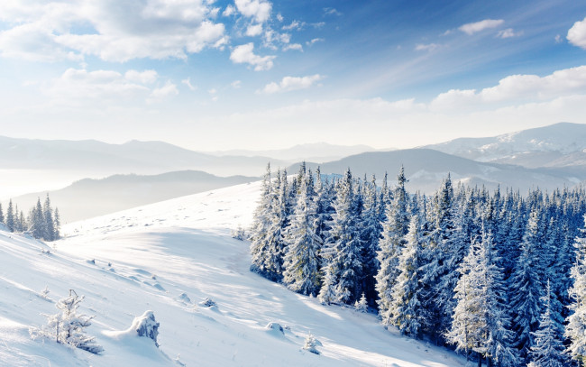 Обои картинки фото природа, зима, снег, деревья, горы, лес