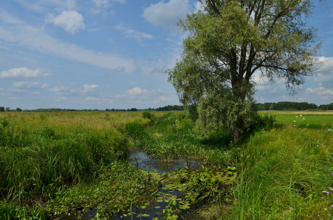 Обои картинки фото природа, реки, озера, ручей, поле