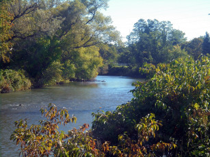 Картинка природа реки озера вода деревья река мостик