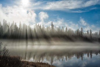 Картинка природа реки озера лес озеро туман лучи