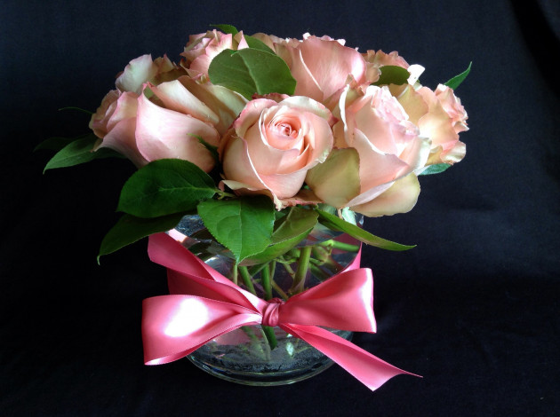 Обои картинки фото цветы, розы, бант, ваза, лента