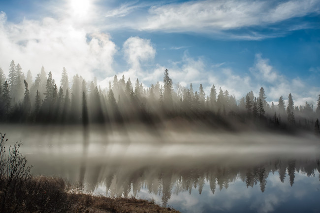 Обои картинки фото природа, реки, озера, лес, озеро, туман, лучи