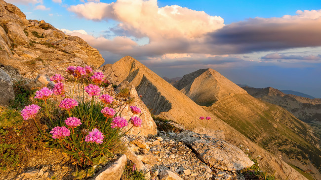 Обои картинки фото pirin mountain, bulgaria, природа, горы, pirin, mountain
