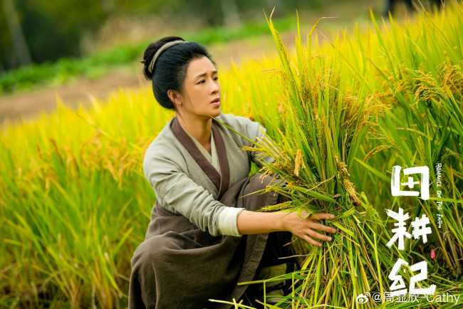 Обои картинки фото кино фильмы, romance on the farm, женщина, поле, рис