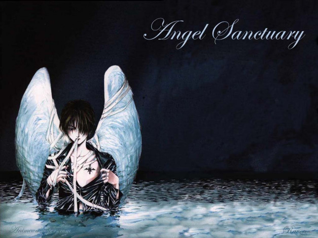 Обои картинки фото аниме, angel, sanctuary