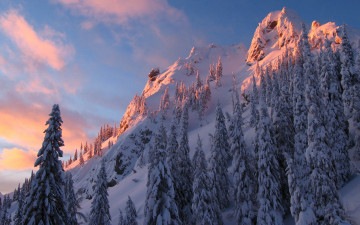Картинка природа зима деревья ели снег горы