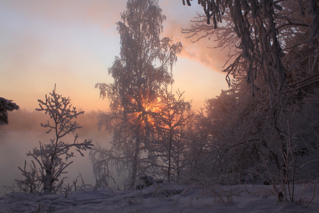 Обои картинки фото природа, зима, закат, деревья, снег