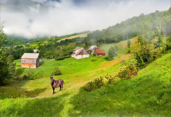 Картинка природа пейзажи сопки дома лошадь туман склон трава