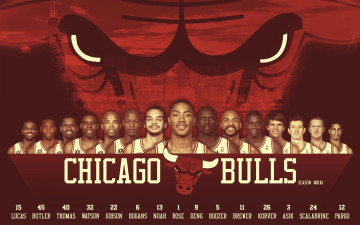 обоя chicago, bulls, 2010, 11, спорт, nba, 2010-11, клуб, нба