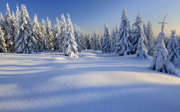 Картинка природа зима горы пейзаж снег деревья