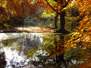 обоя природа, реки, озера, англия, река, деревья, осень
