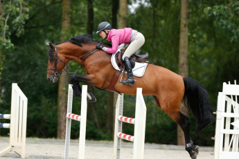 Картинка спорт конный+спорт meredith michaels beerbaum horse equestrian jumping конnур прыжок лошадь конь