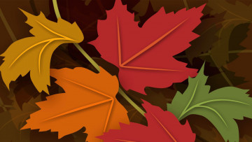 Картинка векторная+графика природа клен цвет листья осень