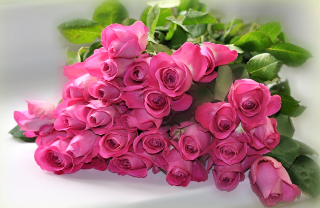 Обои картинки фото цветы, розы, бутоны, розовые, листья, фон, букет