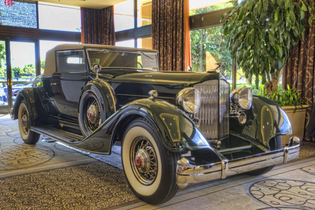 Обои картинки фото 1934 packard twelve 1107 coupe roadster, автомобили, выставки и уличные фото, выставка, автошоу