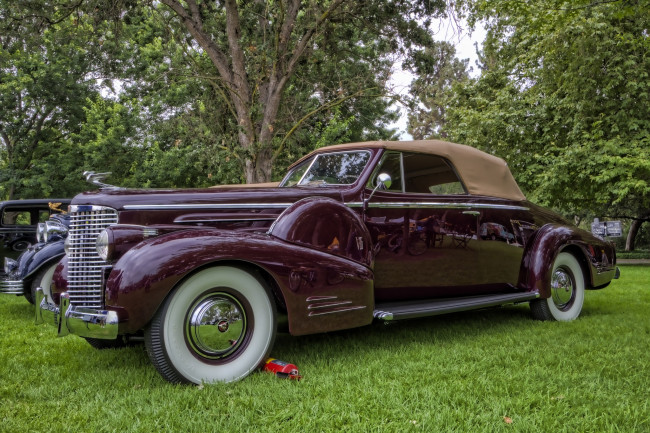 Обои картинки фото 1938 cadillac v-16 convertible coupe, автомобили, выставки и уличные фото, выставка, автошоу