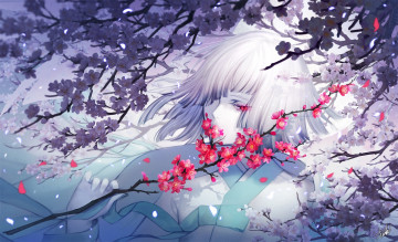 Картинка аниме unknown +другое danhu девушка сакура белые волосы ветка цветы