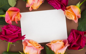 Картинка цветы розы бумага белая бутоны разноцветные