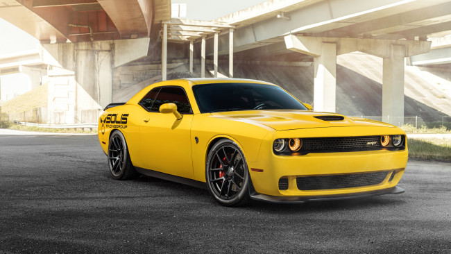 Обои картинки фото автомобили, dodge, challenger, srt