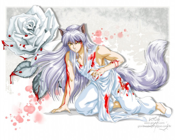 Обои картинки фото аниме, inuyasha