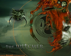 Картинка the witcher видео игры