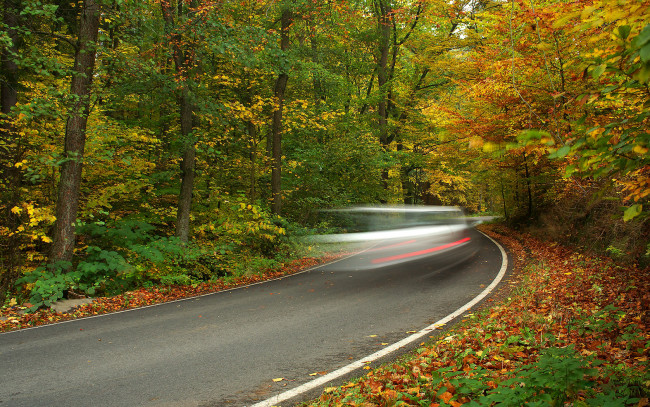 Обои картинки фото природа, дороги, дорога, осень, след, от, машины