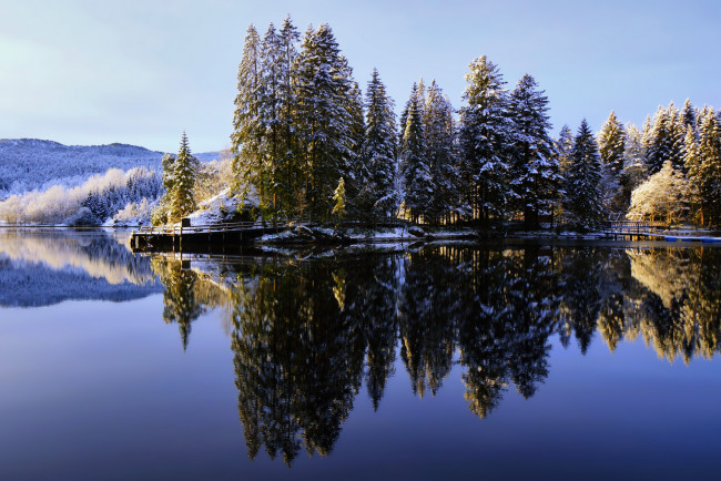 Обои картинки фото природа, реки, озера, ели, озеро, остров, зима, деревья