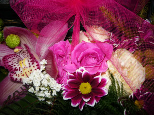 Картинка цветы букеты +композиции орхидеи розы хризантемы букет