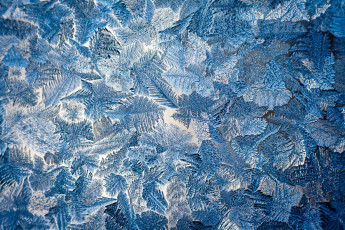 Картинка природа макро мороз узор