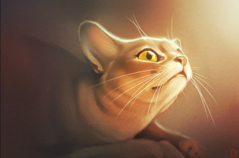 Картинка gaudibuendia рисованное животные +коты ушки взгляд кошка кот коте киса фон