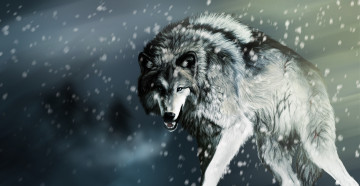 обоя рисованное, животные,  волки, волк, взгляд, снег