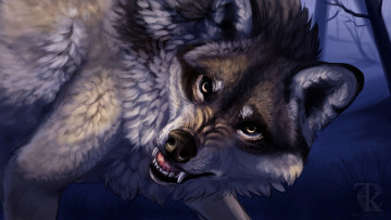 Картинка рисованное животные +волки взгляд клыки пасть волк хищник