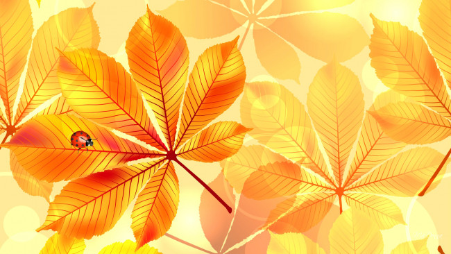 Обои картинки фото векторная графика, природа, осень, листья, каштан, коллаж, божья, коровка, насекомое