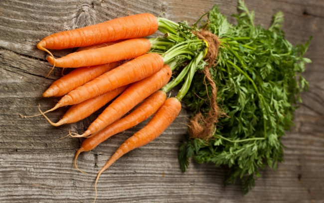 Обои картинки фото еда, морковь, оранжевый, пучок, корнеплод