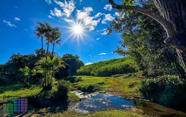Обои картинки фото календари, природа, растения, солнце, водоем, 2018, пальма