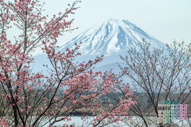 Обои картинки фото Япония, календари, природа, дерево, 2018, вулкан