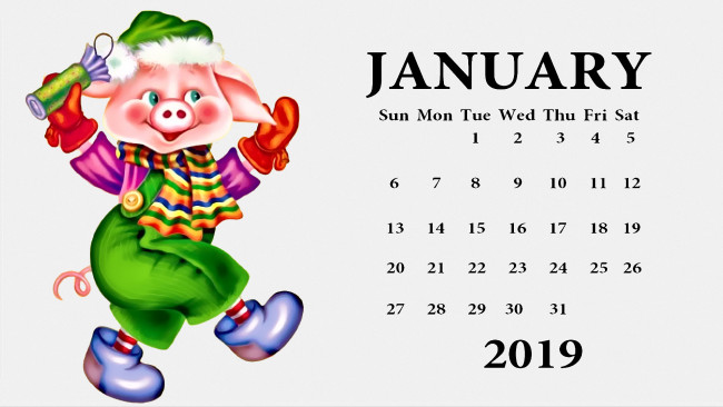 Обои картинки фото календари, праздники,  салюты, поросенок, шапка, одежда, свинья