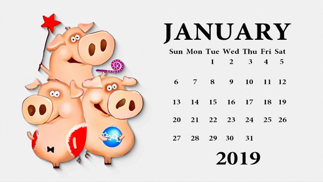 Обои картинки фото календари, праздники,  салюты, звезда, шар, игрушка, поросенок, свинья