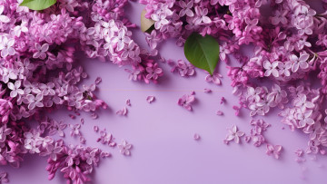 Картинка 3д+графика цветы+ flowers цветы сирень весна фон