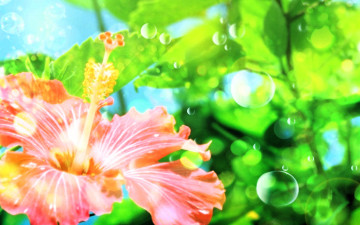Картинка разное компьютерный+дизайн цветок листья пузыри