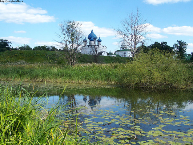 Обои картинки фото 