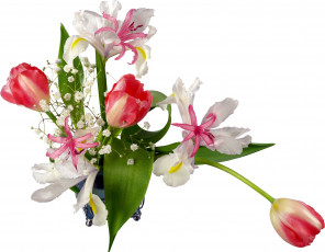 Картинка цветы букеты композиции ваза тюльпаны гипсофила