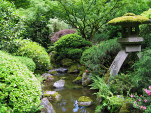 Картинка природа парк Япония