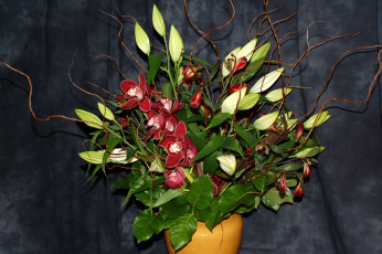 Картинка цветы букеты композиции орхидея бутоны ветки ваза