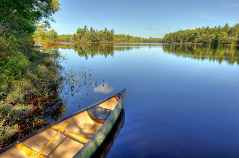 Картинка природа реки озера лодка вода лес