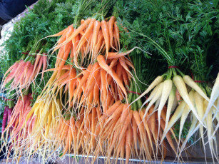 Картинка еда морковь разноцветная пучки