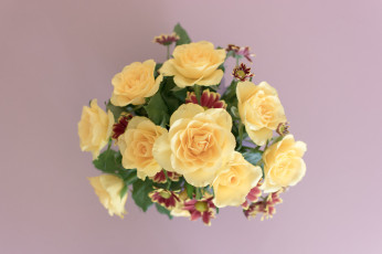 Картинка цветы букеты +композиции желтые розы